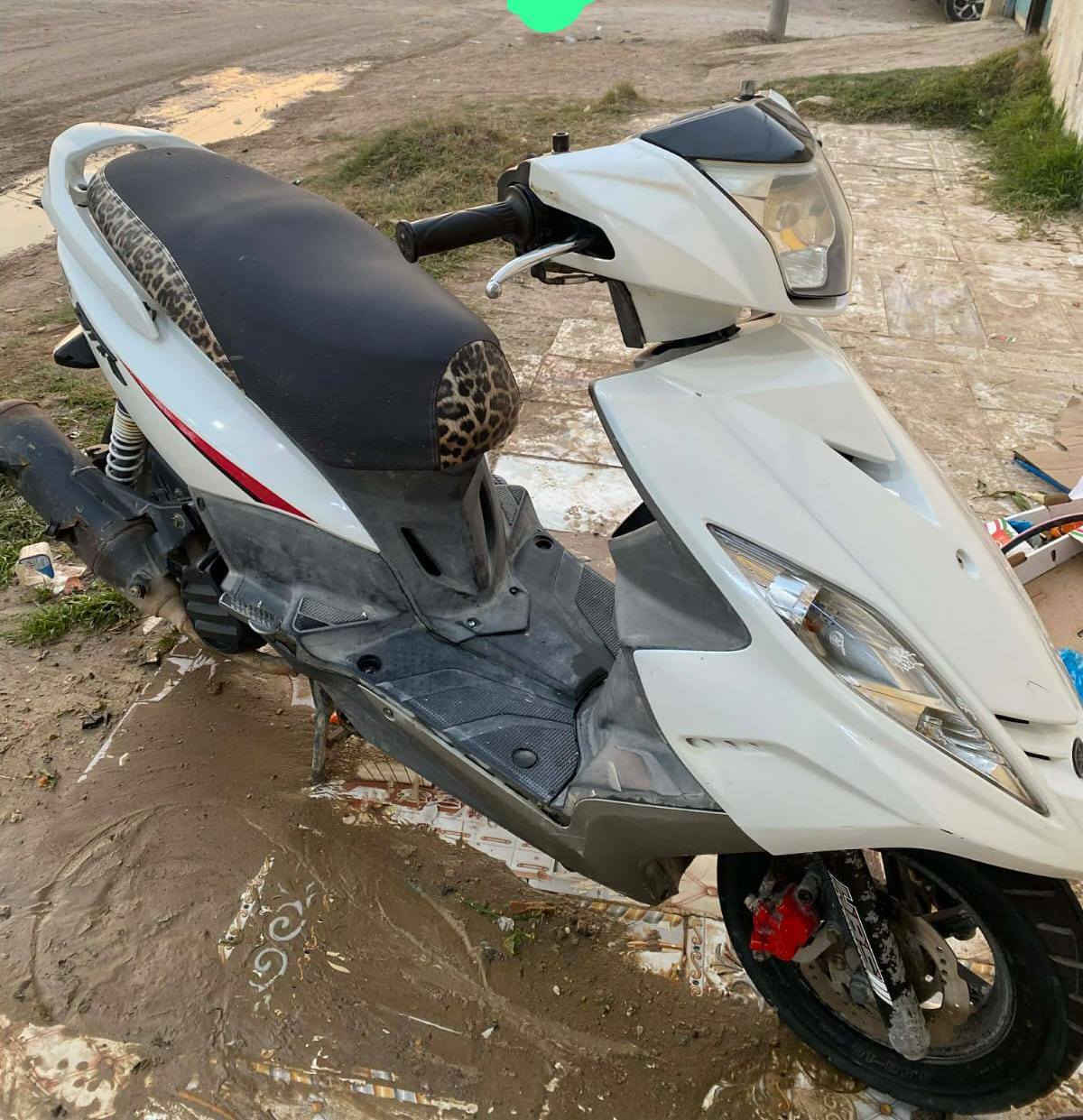 دراجه جي تي للبيع دراجه بلاديه موديل 2010 كفرات بلادي مال شركه ليبل شركه بعده بيهه هيه ولكتابه مكان كاطون الرازي التواصل علا الرقم موجود واتساب *********** مكلف بالنشر غير متواجد خاص
