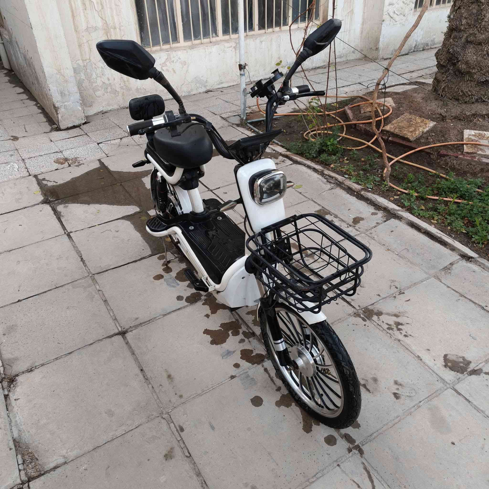 السلام عليكم...
‎باسكل شحن للبيع. 
‎
‎⚙️ المواصفات والأداء:
‎- اللون ابيض 
‎- السرعة القصوى: 80 كم/ساعة (حقيقية).
‎- نظام القيادة: 4 سرعات مختلفة
‎- موديل 2025  (أكبر حجم متوفر! (قياس 24)).
‎- البطاريات: طقم 5 بطاريات اصليه (60V / 32A).
‎- الأمان: جهاز إنذار ضد السرقة + قفل التاير الخلفي + قفل السرج والبطارية.
‎- الشاشة: شاشه دجتل نظام الحديث لعرض (السرعة، المسافة، مستوى الشحن، وكشف الأعطال).
‎- مرايات2وياها
‎- ملف 1200
‎
‎🌟 الإضافات والرفاهية
‎- الإطارات: حجم كبير مع ويل كب مميز.
- ‎سلة أمامية واسعة.
‎- بايدر مساعد (يعمل على شحن البطارية أثناء القيادة).
- الاضاءة: نظام LED (نهاري، ليلي، إضافي، وخلفي)
+ اضاءة ترحيبيه ❤
‎- التحكم: تشغيل عن بُعد (بصمة)، مفتاح نوعين 🔑،
‎- شاحن سريع!
‎- ستاند موبايل 
‎- سماعات بلوتوث
‎- بايدانات
‎
‎💰 السعر: 300
‎للأستفسار والطلب: اتصل على الرقم أو المراسلة واتساب.
‎📞 رقم الهاتف: ***********
‎📍 العنوان: كربلاء المقدسة
