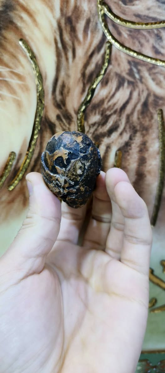 سلطاني قديم مال كاع قطع متاحف روعة مصور رباني سعر مع توصيل ١٥ ألف بسعر البلاش فقط بيع بدون عملة وسعر ثابت للطلب خاص أكو جملة هم متوفر وبلخدمة وسعر أقل


**إذا كنت صاحب هذا الإعلان وتريد حذفه لأي سبب، رجاءا أرسل رسالة إلى الدعم الفني**