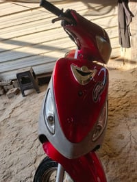 ماكس منغولي • ٤٩ • ياباني