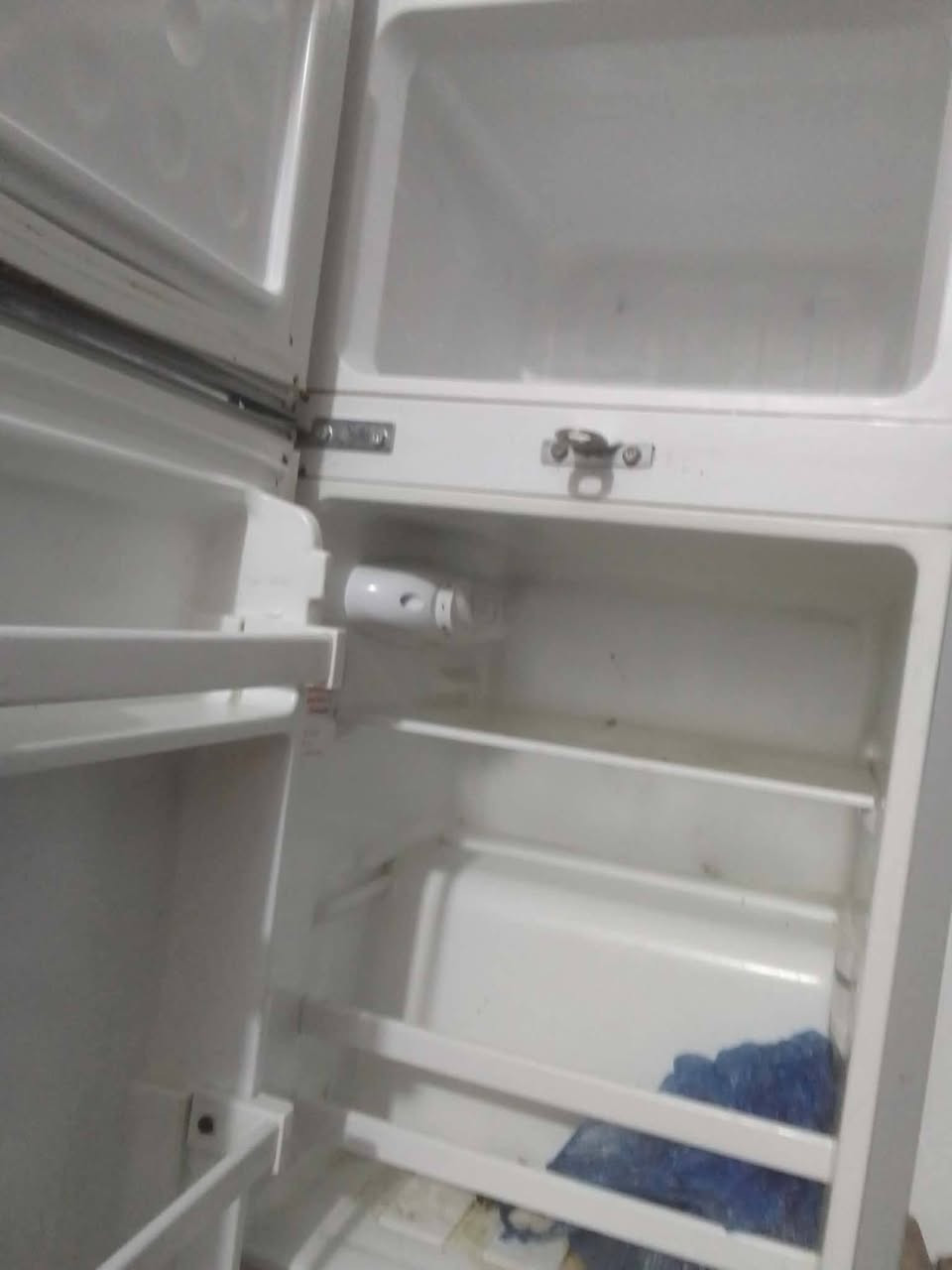 ثلاجه صغيره للبيع في ميسان حي عبجيه شارع عشرين سعر خاص
تجميد خير من الله نضافه 90 باميه متواجد خاص


**إذا كنت صاحب هذا الإعلان وتريد حذفه لأي سبب، رجاءا أرسل رسالة إلى الدعم الفني**