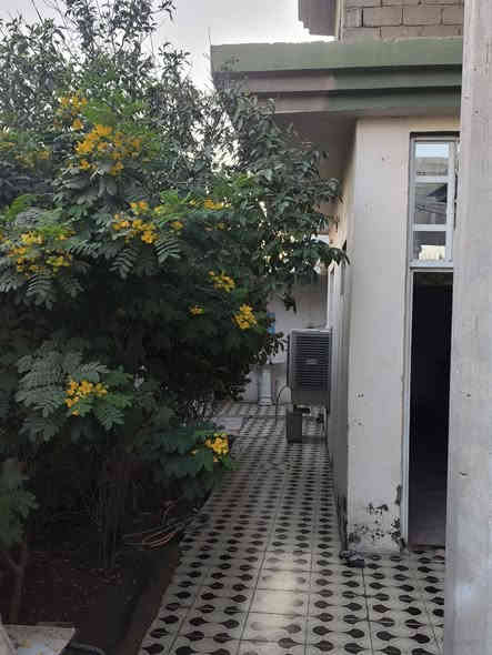 السلام عليك بيت للبيع طابو زراعي 25 المساحه 375 متر طابقين على الشارع العام قرب مقهى  أو سكله السعيدي للستفسار ***********
