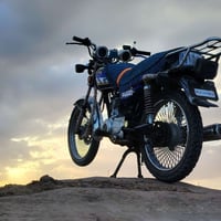 تايگر • ١٢٥ • ٢٠٢٤