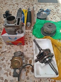 ١٤٠ فراشة • اصلي • كفر دولفين