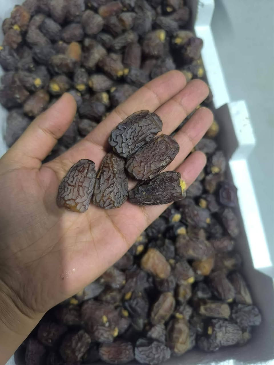 مرحبا 
متوفر تمر بريم درجة اولى حبة كبير 
وزن الكارتون ٢ كيلو 
السعر ٢٠ مع التوصيل


**إذا كنت صاحب هذا الإعلان وتريد حذفه لأي سبب، رجاءا أرسل رسالة إلى الدعم الفني**