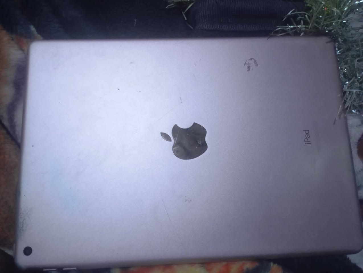 سلام عليكم عيني ايباد 8ذاكره32 نضيف سعر 160 وبيه مجال قليل مكاني ناصريةمبدل بس شاشه فقط


**إذا كنت صاحب هذا الإعلان وتريد حذفه لأي سبب، رجاءا أرسل رسالة إلى الدعم الفني**