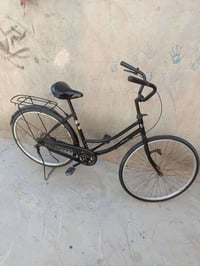 بسكليت • حجم ٢٦ • كرمة علي