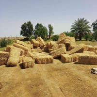تبن كبس گفر درجا اولا شرط متر مضغوطه واصل للبيت  07805879968///0778064...