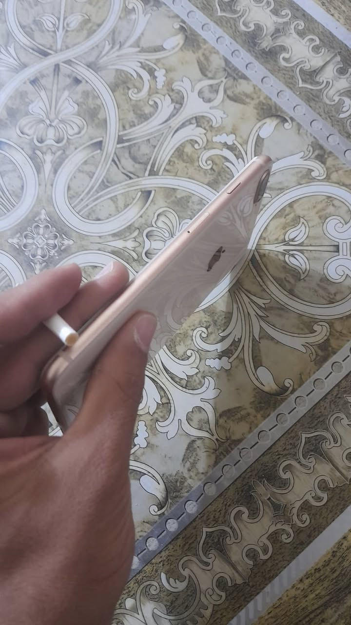 ايفون 8 بلص
مبدل بطاريه ١٠٠ اصليه 
ذاكره ٦٤ 
نموذج m 
للمراوس


**إذا كنت صاحب هذا الإعلان وتريد حذفه لأي سبب، رجاءا أرسل رسالة إلى الدعم الفني**