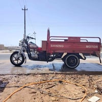 ستوته • ٢٠١٤ • رقم انگليزي