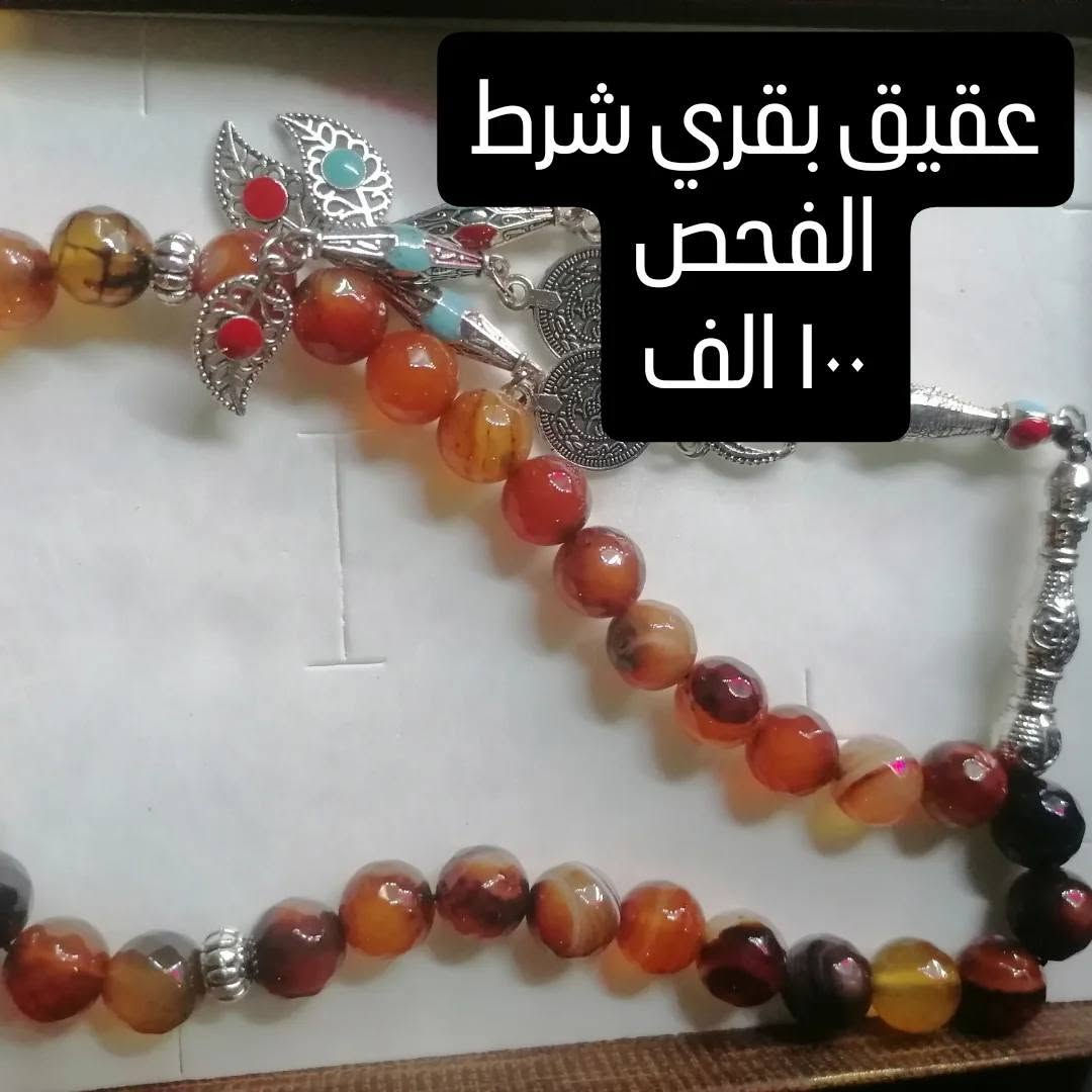السلام عليكم فول الفول شرط الفحص ومال جبال وبيهن مجال لشراي


**إذا كنت صاحب هذا الإعلان وتريد حذفه لأي سبب، رجاءا أرسل رسالة إلى الدعم الفني**