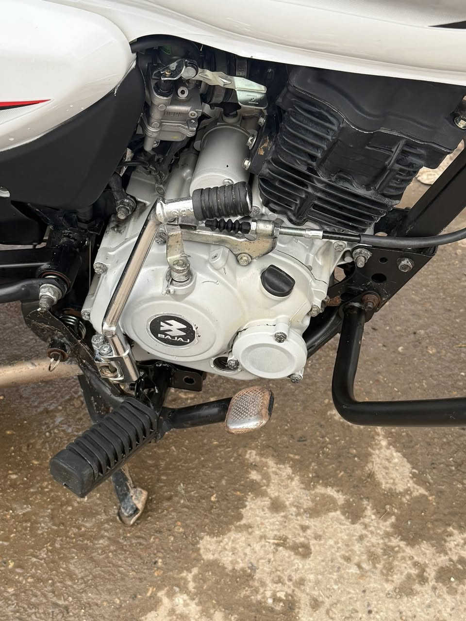 سلام عليكم درجه بوكسر 2023مشاها 16الف الدراجه مامشتغله دلفري ابد بسمي رقم حله مكاني بغداد مبدل سلندر بل شركه لاستفسار *********** ولباقي دراجه جاهزه مابيه اي نقص عده دبلات نص عمر
