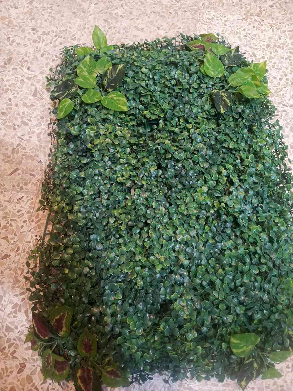السلام عليكم ورحمة الله   (***********) حي الملايين الثانيه   وبركاته عندي نشره شمسي القياس ثلاثه مربع وعندي ديكور خضر والقياس 40 × 60 عدد سبعه والقطعه على 2000 والنشرات ب 20,000
