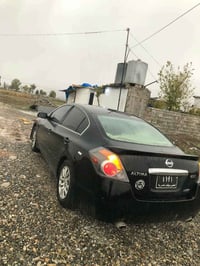 التيما • ٢٠١٢ • رانية