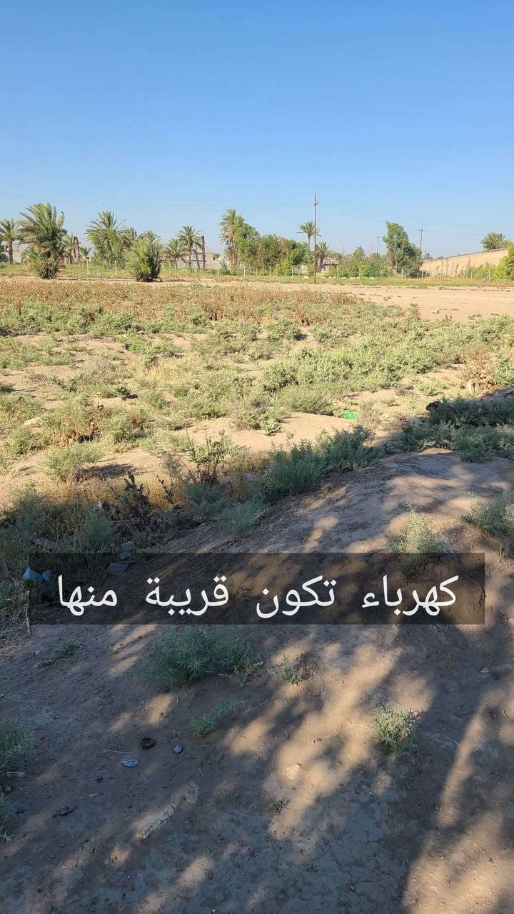 أرض للبيع دونم آله ربع الشيحة الثانية بالقرب من سريع ابوغريب بغداد
الأرض عقد زراعي غير طابو 
الأرض مكفولة تمامآ من صاحب الأرض والعقد وحالك حال الي اشتروا 
واجهة الأرض 31 متراً
الأرض عليها شارعين رئيسين كما موضح في الصور
الارض قريبة من الجسر العام والسريع كما موضح في الصور
الأرض لليوجد عليها اي مشاكل وتكاتب رسمياً
يوجد على الأرض خط كهرباء وماء
الأرض ملاصقة لمزرعة عائلية كما موضح في الصور
الأرض قابلة لمزرعة عائلية 
الأرض قابلة للسكن 
الأرض قابلة لجملونات او مخازن
الأرض غير قابل للشايليهات والتأجير 

الأرض امنة جداً جداً وقربها منطقة سكنية هادئة

سعر الأرض 55 مليون فقط ومقفولة

الموقع 📍/ ابوغريب بغداد خط السريع الشيحة الثانية قرب معمل حليب بلادي

للاستفسار واتساب فقط ( *********** )

.
