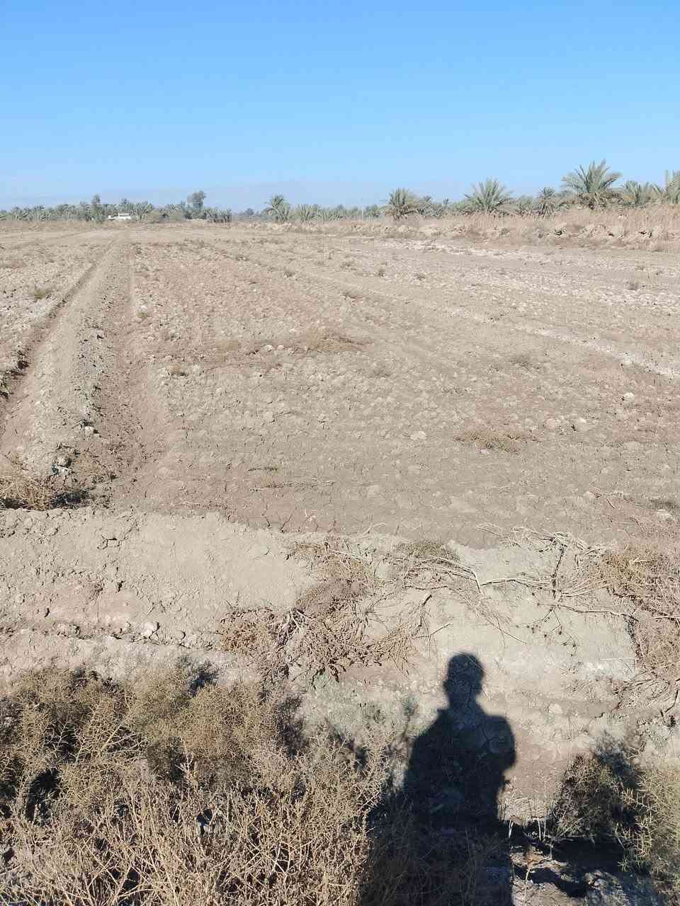 سلام عليكم عرض جديد ✨🚩
قطعه ارض المساحه 24دونم 🤠🚩للبيع 
طابو زراعي سند 25✨🌷
كلها باسم شخص واحد ✨🚩
الخدمات كلها متوفره بيها ماء وكهرباء ✨🚩
العنوان طريق السده محاويل السايدين الجديد تبعد عن الشارع العام السايدين تقريبا 600متر 🤠✨
ارض زراعيه حلوه✨🌷
وكلها محوطه بنهران ✨🚩
تنباع كلها او نص منها او مفرد ✨🚩كلشي بالك يصير دونم او دونمين حسب الي تريده يصير ✨🚩
والسعر مناسب ✨🤠
‏‪***********‬‏
اتصل او تفضل خاص✨🚩
🚩

ملاحظه شعندك دوانم للبيع تفضل خاص ✨🚩
بمنطقه الحصن او منطقه الناصريه او ابو عصافير او المسيب  او السده ‏‪***********‬‏
