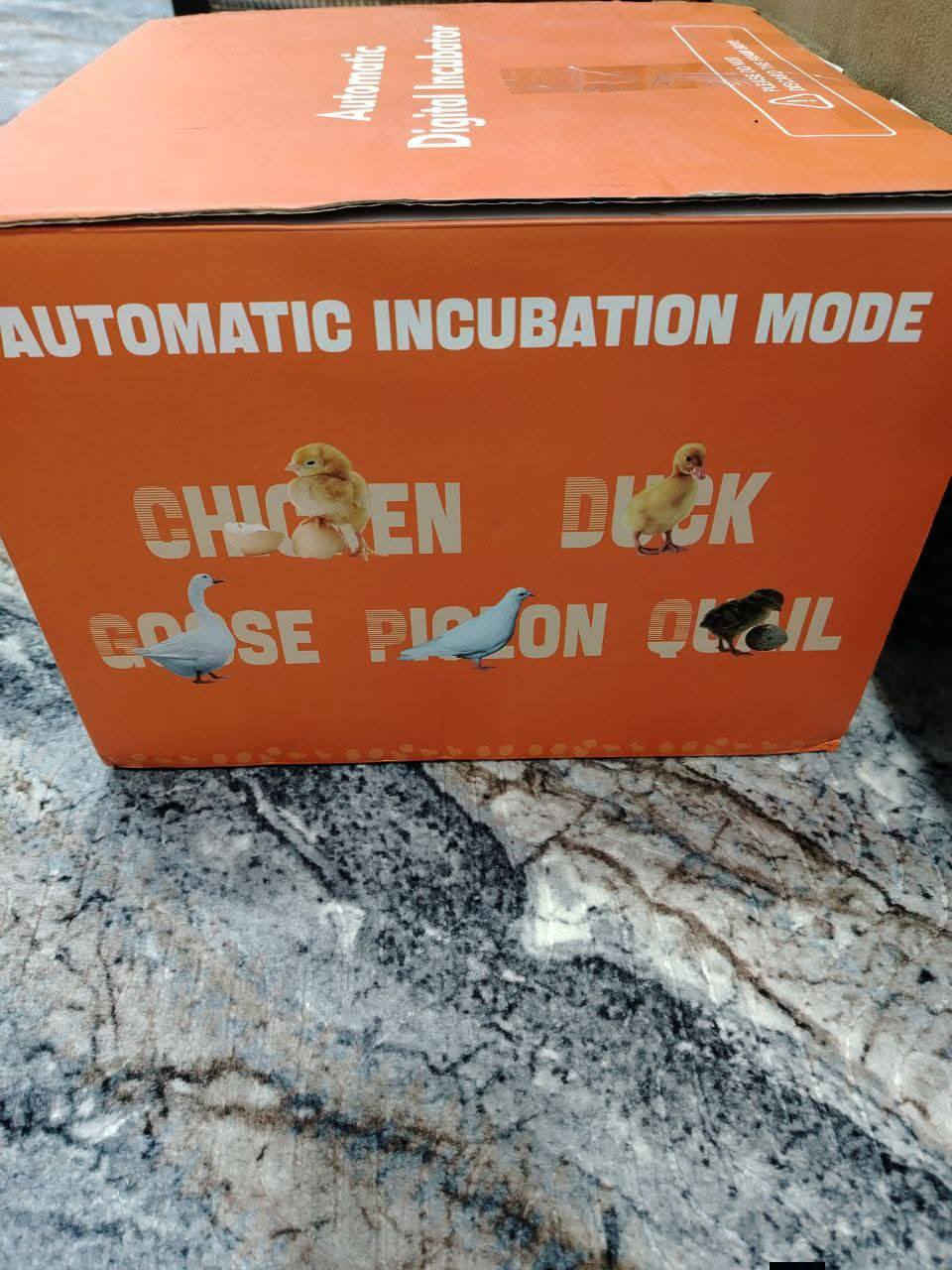 حاضنة بيض رقمية أوتوماتيكية بسعة 12 بيضة. 
تتميز بتحكم تلقائي بدرجة الحرارة والرطوبة.
تتضمن قلبًا تلقائيًا للبيض بزاوية 360 درجة كل ساعتين تقريبًا.


**إذا كنت صاحب هذا الإعلان وتريد حذفه لأي سبب، رجاءا أرسل رسالة إلى الدعم الفني**