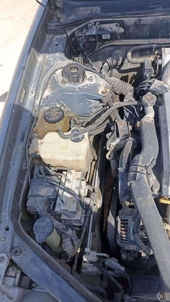 افلون موديل 96رقم بسمي رقم نجف بلاد مامحور تبرد شغل ماعزي شي اريد مروس بنيفاري الي مناسبة ***********

