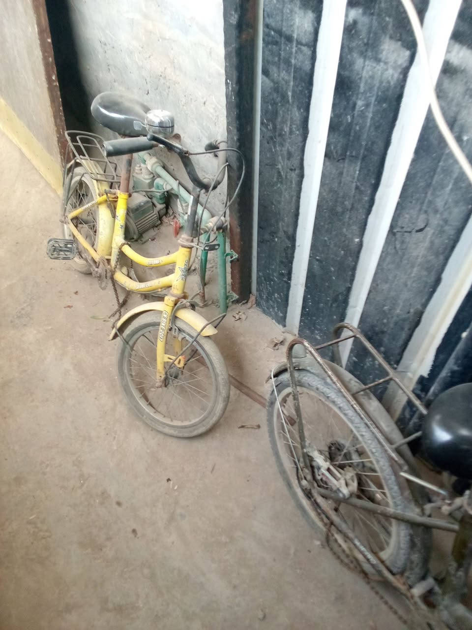 السلام عليكم عندي ا البايسكلات شباب للبيع زوج شغالات يرياد ترتيب الاصفر مكطوع  زنجيل فقط عنواني جسر ادياله القديم بالوليدرقمي هذا *********** اخوكم رائد كنعان العتابي
