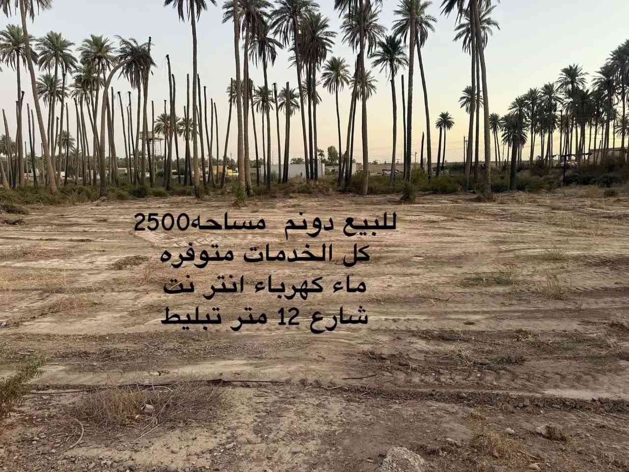 العالميه للعقار ***********
السلام عليكم  
يوجد دونمين شاطيه 
يوجد مساحه850 متر شاطيه 
يوجد دوانم ملك صرف  زراعي سند 25 
يوجد نصف دونم ملك صرف زراعي  سند25
يوجد قطع  مساحه 500 و440 و 320 و600
و1000 و 1100 

شرط تكعد انته وصاحب الملك حصرا 

تشرفوني في مكتبي 
العالميه للعقار 
*********** 
حسين القريشي
