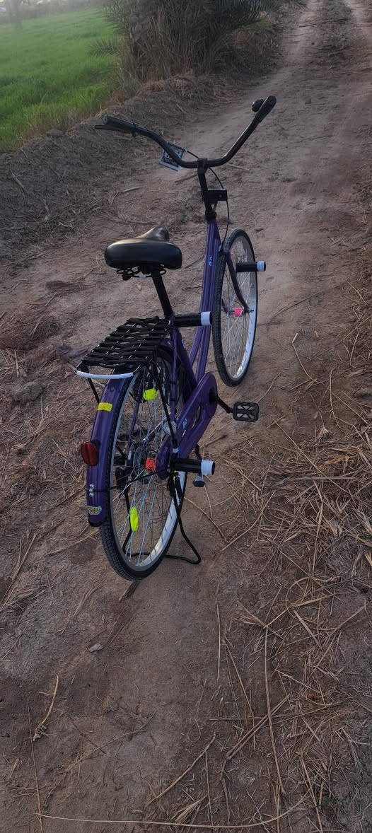 سلام عليكم
باسكل للبيع او للمراوس شعدك نزل 

باسكل مديل 22.8

الباسكل نضيف نضافته 95

الباسكل بي شخوط الحاويه فقط وبي عقجه بل صينيه مال حاويه 

شركه BD🏅

ولباسكل صارلي شهر من منزله نضيف 

الباسكل سعره 140 وبي مجال للطيبين🤎🏅


**إذا كنت صاحب هذا الإعلان وتريد حذفه لأي سبب، رجاءا أرسل رسالة إلى الدعم الفني**