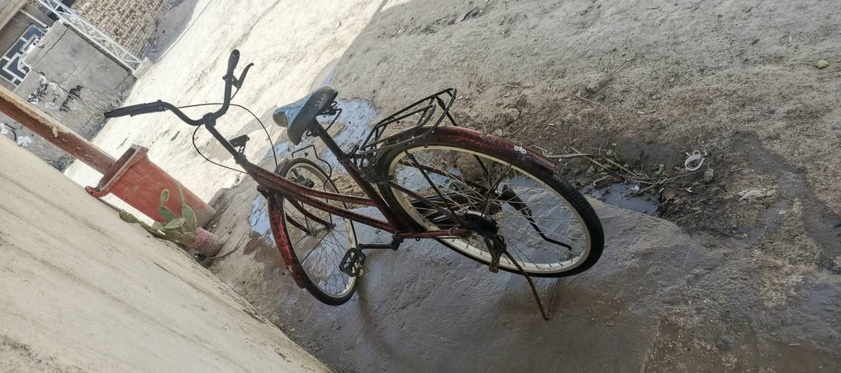 سلام عليكم بايسكل مكفول للبيع المكان جفل بابل السعر 60


**إذا كنت صاحب هذا الإعلان وتريد حذفه لأي سبب، رجاءا أرسل رسالة إلى الدعم الفني**