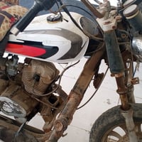 ستوته • شغاله • كربلاء