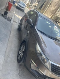 سبورتج • ٢٠١٦ • بدون صبغ