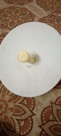 نانو • شغال • ناصريه مركز