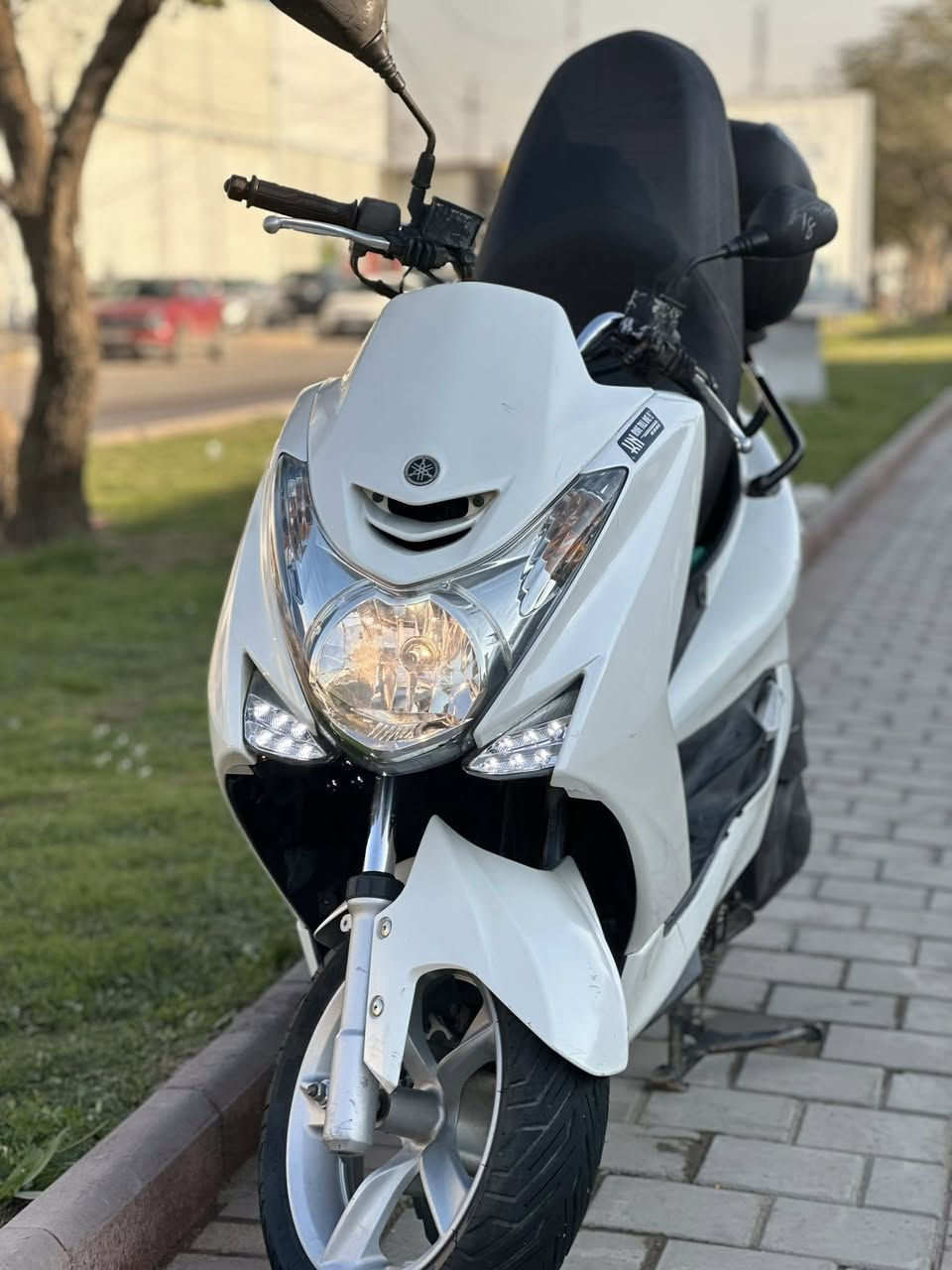 للبيع ماجسته (s) وارد يابان قبق نفخ واستاند كهربائي الدراجة رمبة وكفالة عامة شرط رمبة صارلهاا اقل الشهر من نازلة من الرمبة
عداد الممشى 35,000km
عدتها وكتلوكا كامل
العنوان بغداد الحرية
***********
السعر مليون وستميه وخمسين
