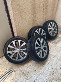 ويل كاب • حجم ١٦ • اكسنت