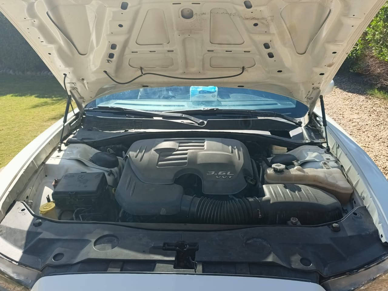 السلام عليكم ورحمة الله
رمضان مبارك للجميع 
رجاءآ اقرة التفاصيل واتصل
جارجر موديل 14 گصه وحده 
محرك 3600 گير طياره شاشه كبيرة 
كفالة گير محرك طخم تاير جديد كهربائيّات كفالة 
تدفئه بالكشنات / كشنات كهربائية 
تحكم ستيرن جهتين مكفول شفتات قياده كاملة 
سيدي شغال بشرط اواكس بلوتوث كله شغال 
ادامة محرك كاملة برادات نوزلات فلاتر دهن كله جديد 
رقم سليمانية الجديد سنوية لغاية 2028
السعر 65 $ فدوه ابو ال60 لاتتصل بروح والديك 
السيارة ماتحط عليها الف دينار
متعهد بشهر كامل ماتخلي عليها غير البانزين 
مكاني خط الدولي السريع قرب جسر الحصوة الجسر السابع 
واتساب ***********
