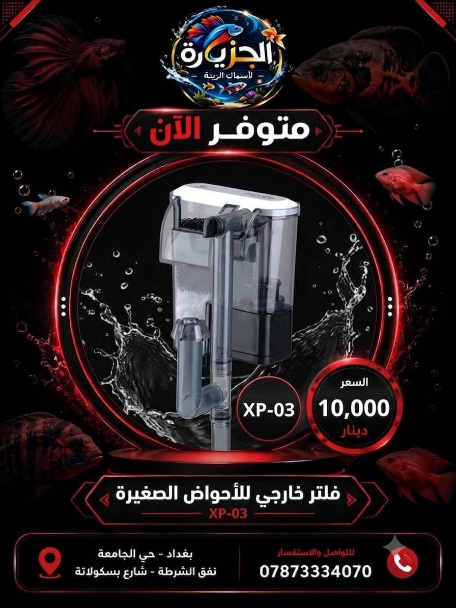🚚 توصيل داخل بغداد بـ 4,000 دينار فقط
📦 توصيل لجميع المحافظات بـ 5,000 دينار فقط
✅ تغليف آمن
✅ شحن سريع
✅ استلام مضمون
📞 ***********
📍 معرض الجزيرة لأسماك الزينة - بغداد حي الجامعة نفق الشرطة شارع
بسكولاتة.

#CoraFeed
