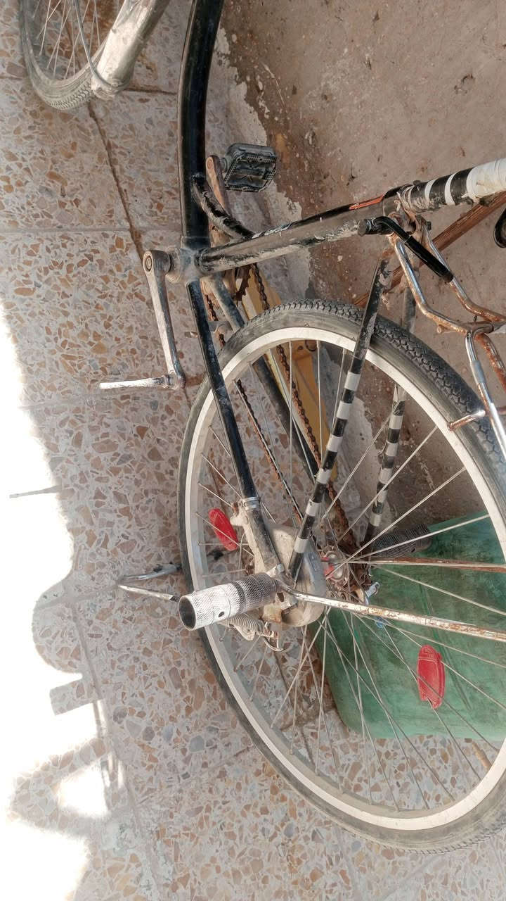السلام عليكم عندي هذا بايسكل للبيع السعر 30بي مجال 
@


**إذا كنت صاحب هذا الإعلان وتريد حذفه لأي سبب، رجاءا أرسل رسالة إلى الدعم الفني**