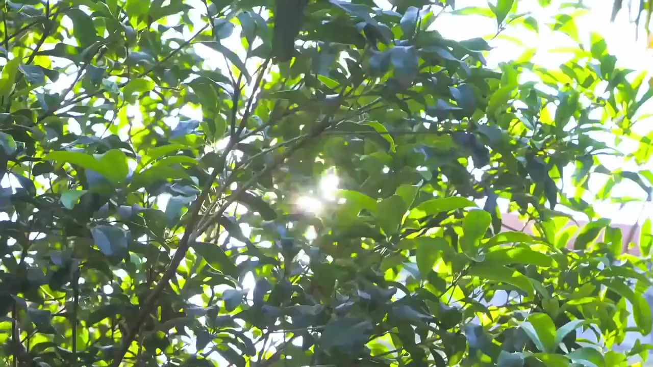 17 الف مع التوصيل


**إذا كنت صاحب هذا الإعلان وتريد حذفه لأي سبب، رجاءا أرسل رسالة إلى الدعم الفني**