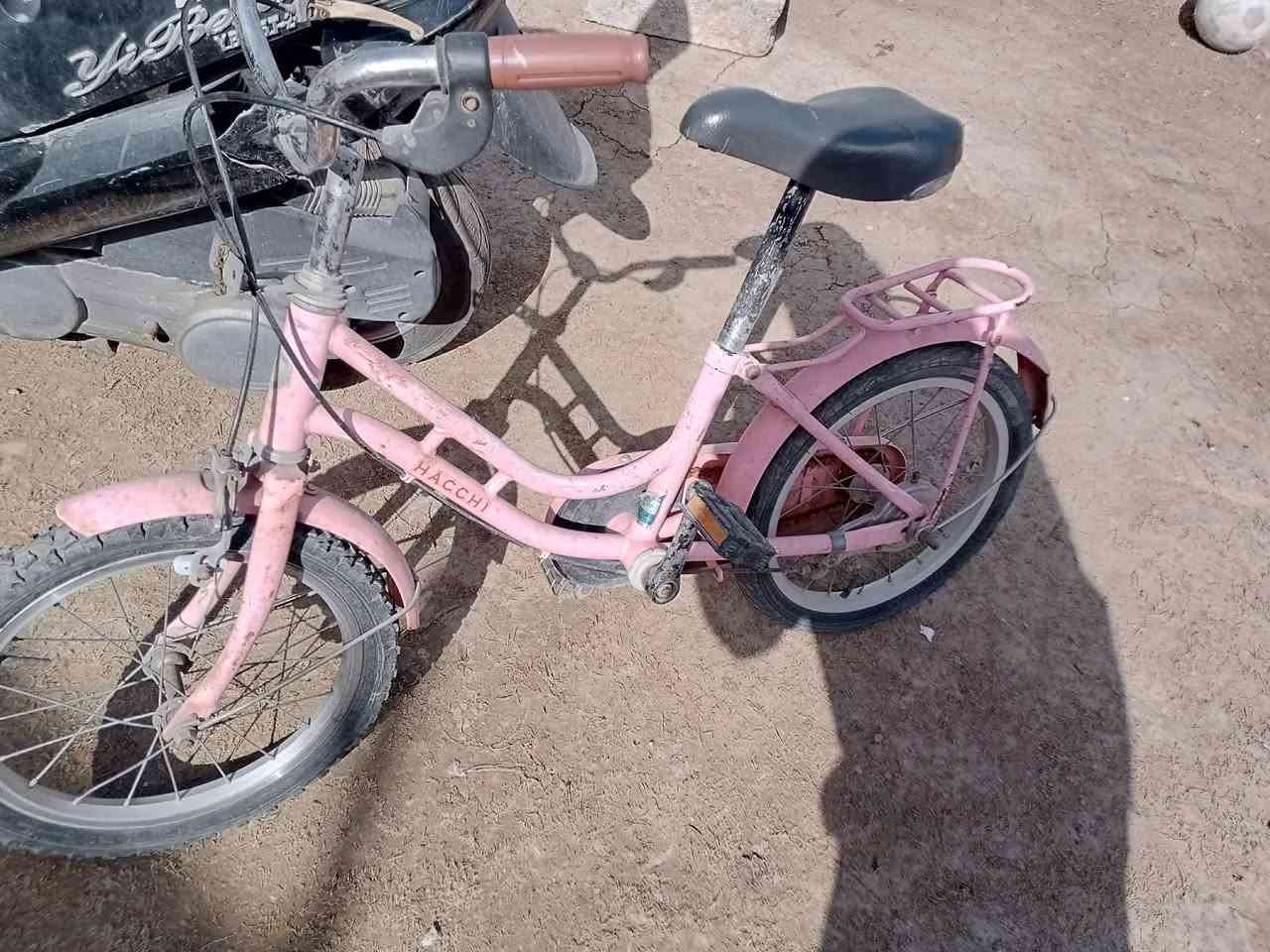 سلام عليكم ماطور وا 3بيسكيلات للبيع 130وا بيهن مجال رقم ***********او راسلني على الخاص الماطور ابيع كوم حديد
