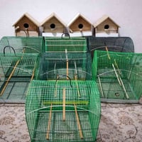 اقفاص كركوك • بيوت طيور حب • توصيل