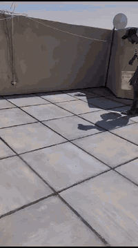 07887215808 ابو رضا