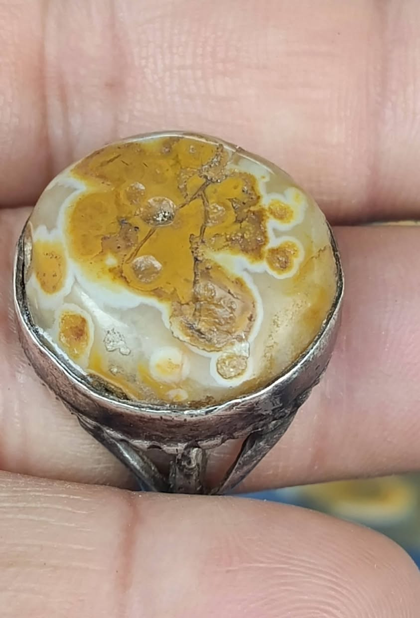 للعشاق داودي للبيع


**إذا كنت صاحب هذا الإعلان وتريد حذفه لأي سبب، رجاءا أرسل رسالة إلى الدعم الفني**