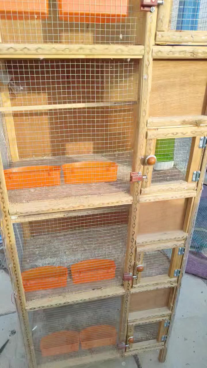 متاح 4 خانات نضافه فول تستخدم لكلشي للتكاثر السعر 60 قفل  مكاني الطارميه حي الفارس
***********
