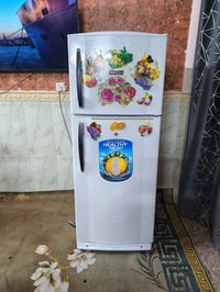 كونكورد • ١٤ قدم • فريز خارجي