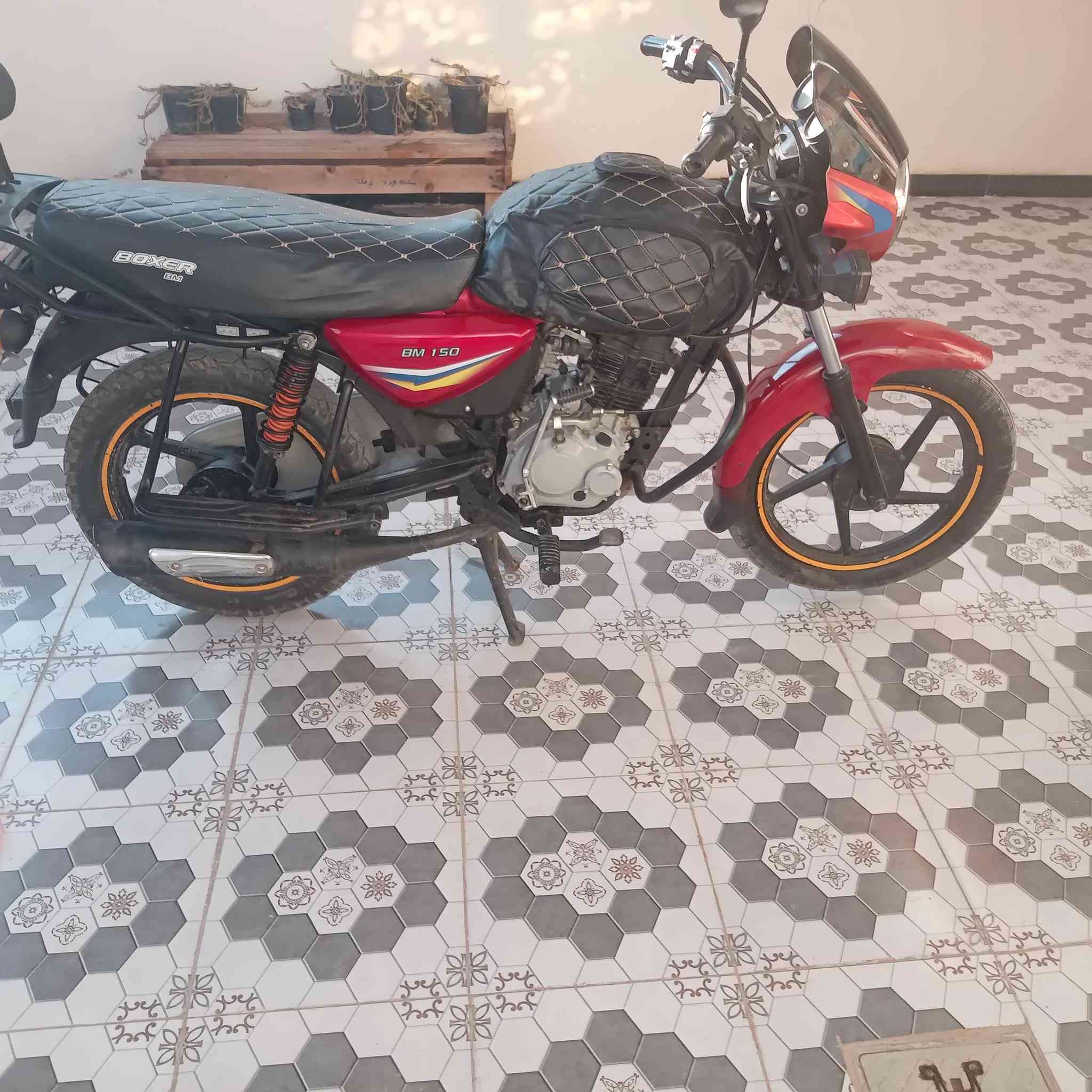 يا الله دراجه بوكسر كلاسيك البيع موديل ١٩ أوراق اصولي شرط الترقيم محرك ابلدي مامفتوح الله شاهد مابي اي نقص السعر مناسب او مستعجل علا البيعه المكان اديالى تقاطع الوجهيه التصال علا الرقم ***********
