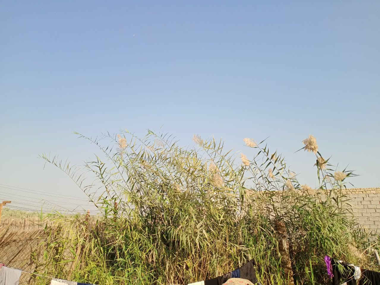 السلام عليكم
بيت  280 تحت البناء صب مسلح خمس غرف صالتين اربع حمامات مضيف 10 م مع مساحة 878 مدارس ماء كهرباء مولد يبعد عن شارع الزوار 700 م وعن الامام 10كم
طريق طوريج كربلاء عمود 245
طابو زراعي 25***********
