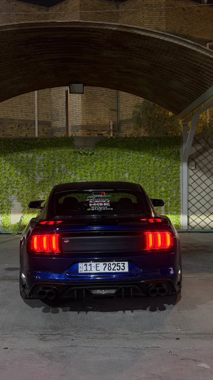 #من_انظف_الجيتيات ✅
[ الي يدور سيارة ستوك وحادث بسيط ] ‼️

فورد موستنك ( GT Full Digital) 🔥 
الموديل : [ 2019 ]
المحرك : [ V8 / 5.0 ] 💥
الگير : [ اوتوماتيك - 10 Speed]
الممشى : [ 30 الف كيلو يعني جديدة سيارة ]
اللون : [ جويتي - مميز ] 🍒 
الحالة : [ دعامية خلفية فقط باقي سيارة كفالة
صور الحادث بالمنشور ] ✅

[ الـــــمـــواصــفـــــات ]

•  عداد ديجتل 
•  شاشة كبيرة [ كار بلي ] 
•  رادار امامي + جانبي + خلفي 
•  سستم سماعات 

•  كشنات جلد كهربائية + تدفئة وتبريد
•  دشبول اللوان متغير 
•  شيفتات ستيرن 
•  3 مودات : سبورت - تراك - دراك
•  تشغيل عن بعد 
•  ويل 20 

الموقع : [ البصرة 🌴] 📍

للتواصل واتس اب او اتصال :
 [ اتصال/ *********** ]
[ واتس اب/ *********** ]
