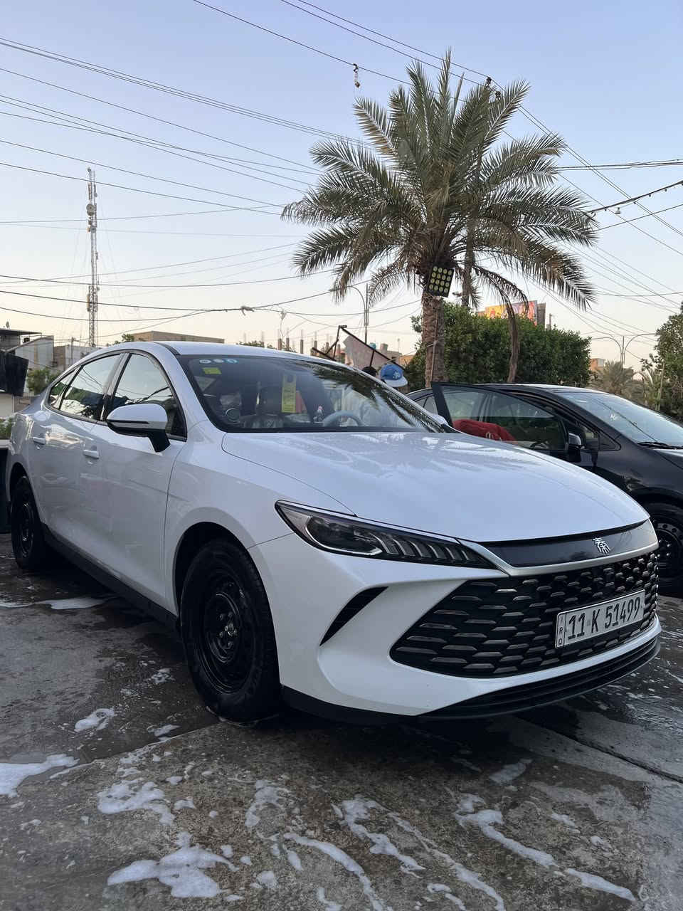 سلام عليكم (BYD)للبيع موديل 2025سياره بسمي رقم بغداد بيه رصعه بقبغ جنطه وصلحته بي دي ار وبيه رصعتين بل باب بصف السايق والباقي كله سليم وقطرت صبغ مابيه سياره وسياره مدومشه عام والوياله رجعتهن ويل كب
مكاني الغزاليه الرقم ***********
السعر (17.900)وبيه مجال 
سلام عليكم (BYD)للبيع موديل 2025سياره بسمي رقم بغداد بيه رصعه بقبغ جنطه وصلحته بي دي ار وبيه رصعتين بل باب بصف السايق والباقي كله سليم وقطرت صبغ مابيه سياره وسياره مدومشه عام والوياله رجعتهن ويل كب
