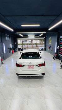 التيما • ٢٠٢٣ • ضرر بونيت