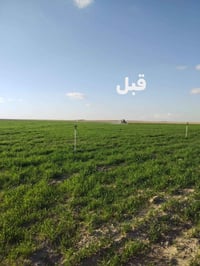 أسمدة ورقية • ناحية الزاب • توصيل كافة المحافظات