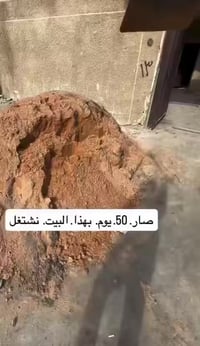 ٥٠ يوم • يستاهل لايك