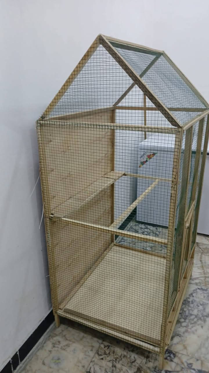 يالله
متاح 
قفص تفصال مرتب وشغل عدل 
جرار تنظيف 
قياسات بصوره 
الارتفاع 153سم
العرض80سم
نزال65سم
قفص مرتب وشغل حلو يرهم جميع انواع الطيور كوكتيل طيور الحب غندور بلابل
مكاني بصره حي شرطه شارع السيد 
للتواصل وات ساب ***********
السعر 40الف
