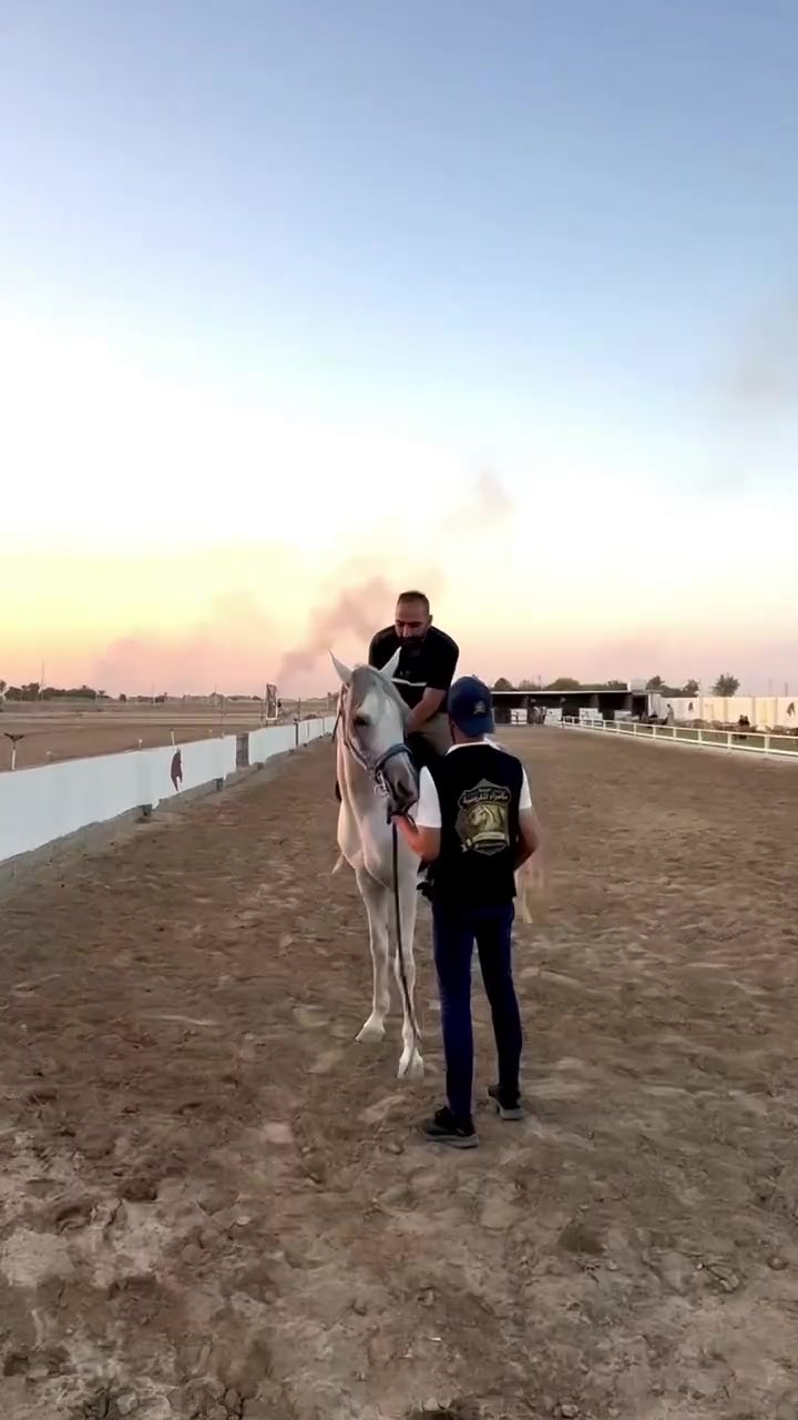 واخيرا صار بسامراء نادي  او مربط للفروسية 
الصراحه مشروع وتجربة رائعة وتستحق الدعم 
والقائمين عالمشرو ع رائعين ومرتبين


**إذا كنت صاحب هذا الإعلان وتريد حذفه لأي سبب، رجاءا أرسل رسالة إلى الدعم الفني**